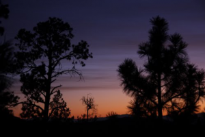 Los Alamos Sunrise