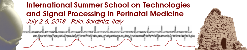 International Summer School on Technologies and Signal Processing in Perinatal Medicine home